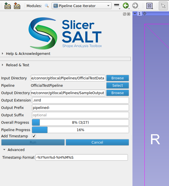 Pipeline Case Iterator